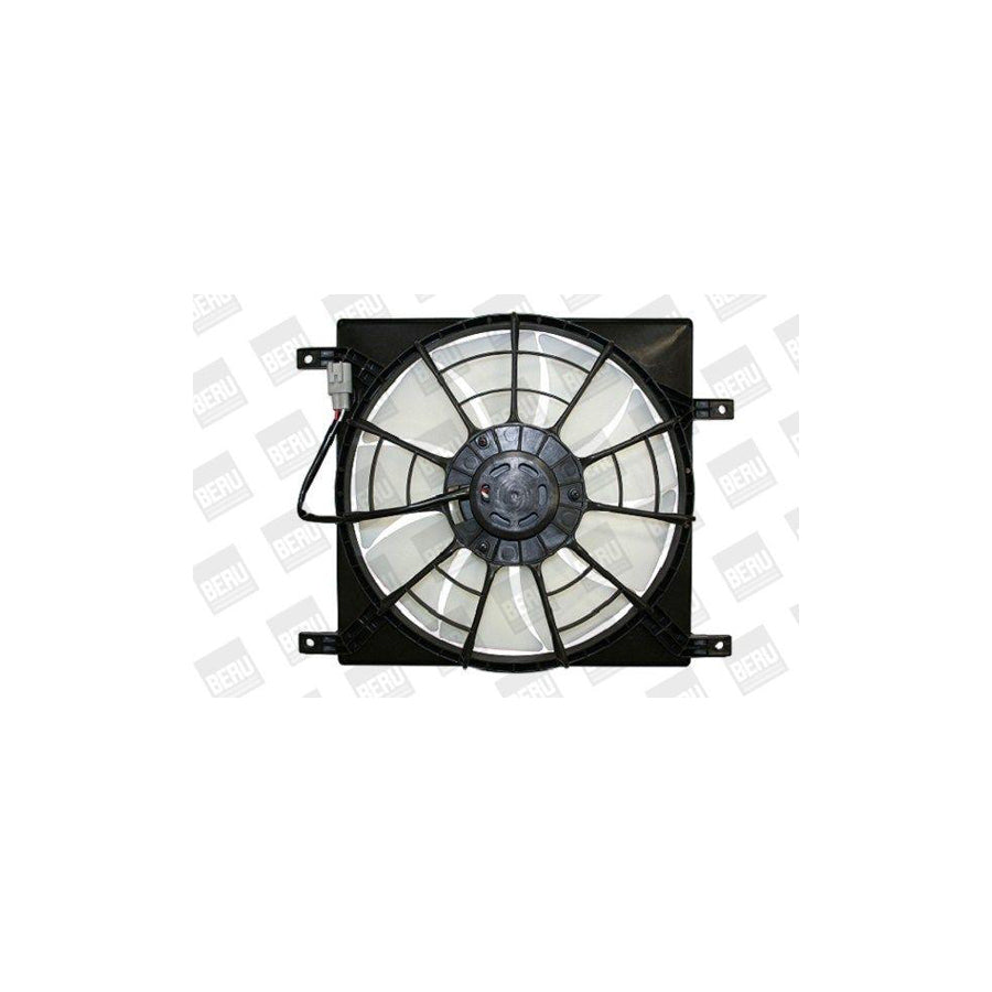 Beru LE700 Fan, Radiator