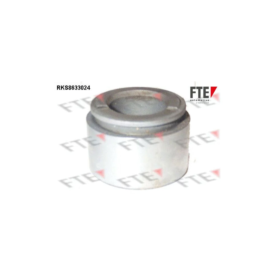 Fte RKS8633024 Piston, Brake Caliper | ML Performance UK Car Parts