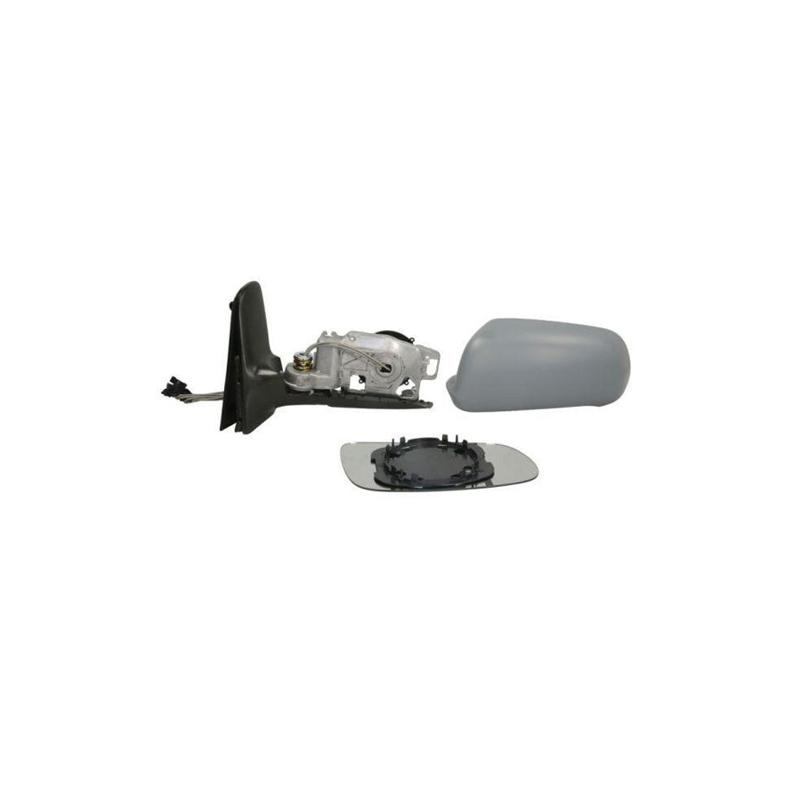 Blic 5402-10-2002913P Wing Mirror