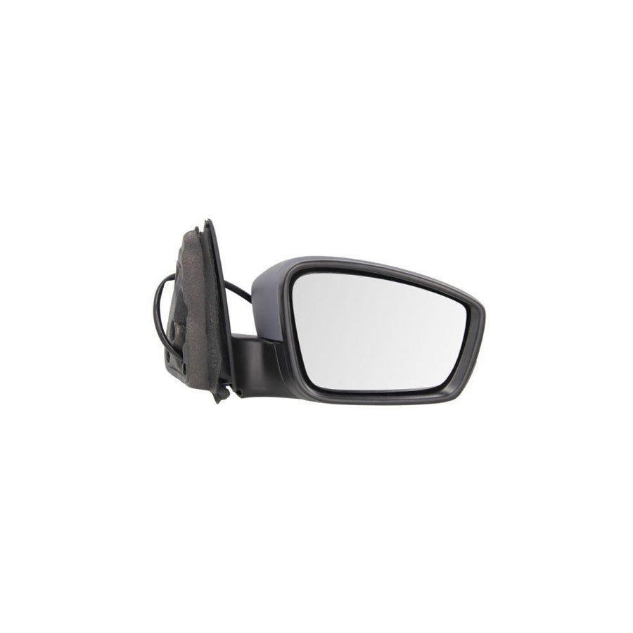 Blic 5402-10-2002326P Wing Mirror