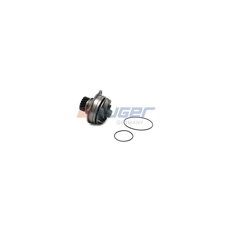 Auger 92567 Water Pump