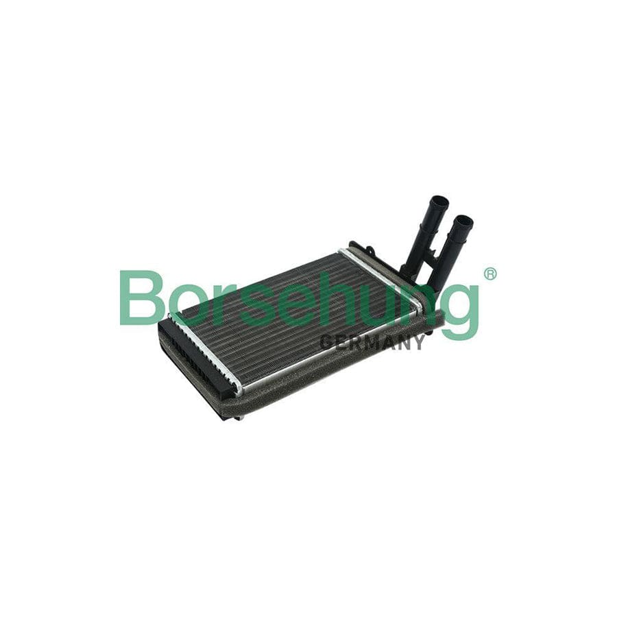 Borsehung B14503 Heater Matrix