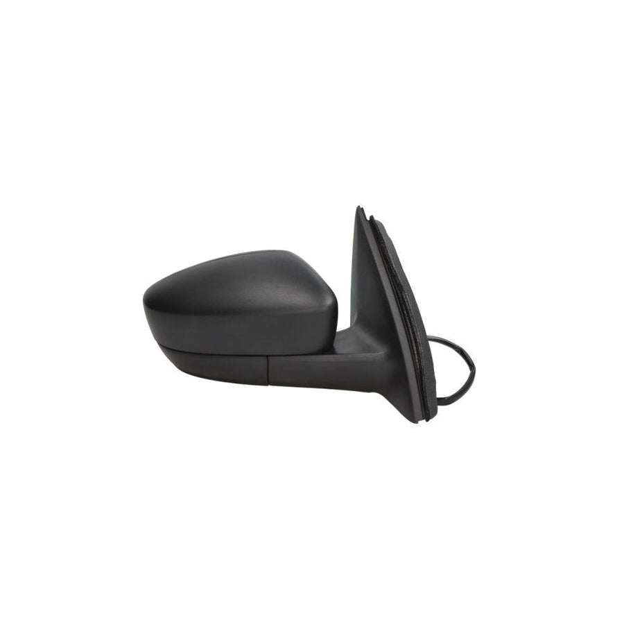 Blic 5402-10-2002324P Wing Mirror