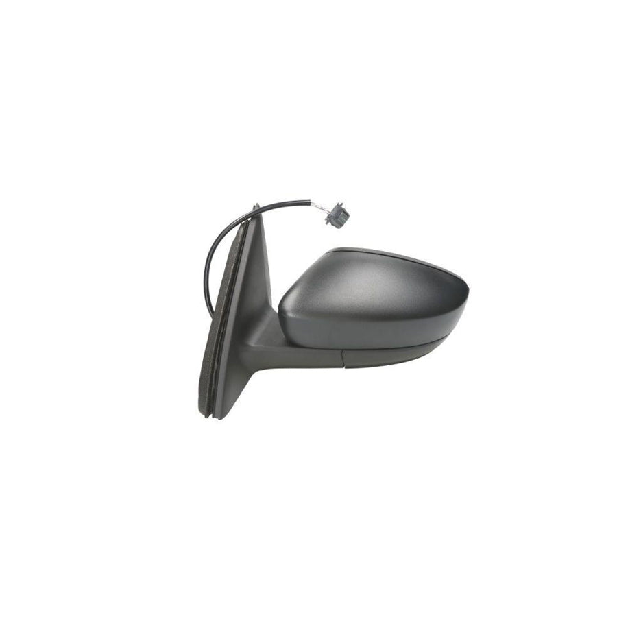 Blic 5402-10-2002323P Wing Mirror