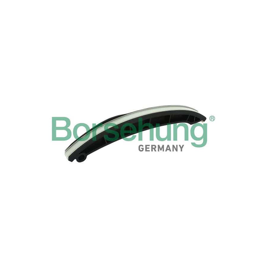 Borsehung B1G020 Guides, Timing Chain