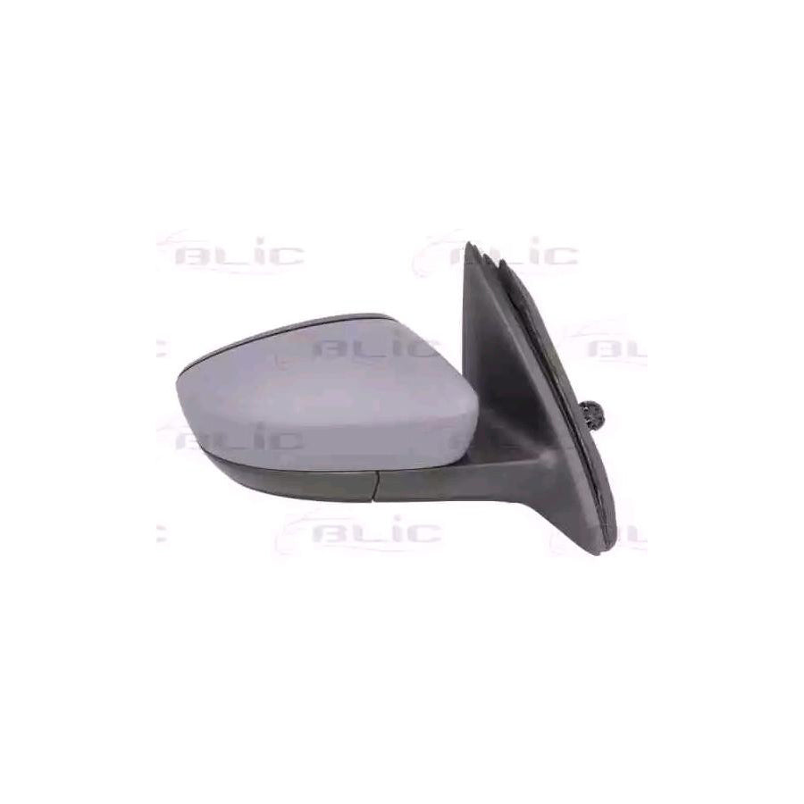 Blic 5402-10-2002322P Wing Mirror