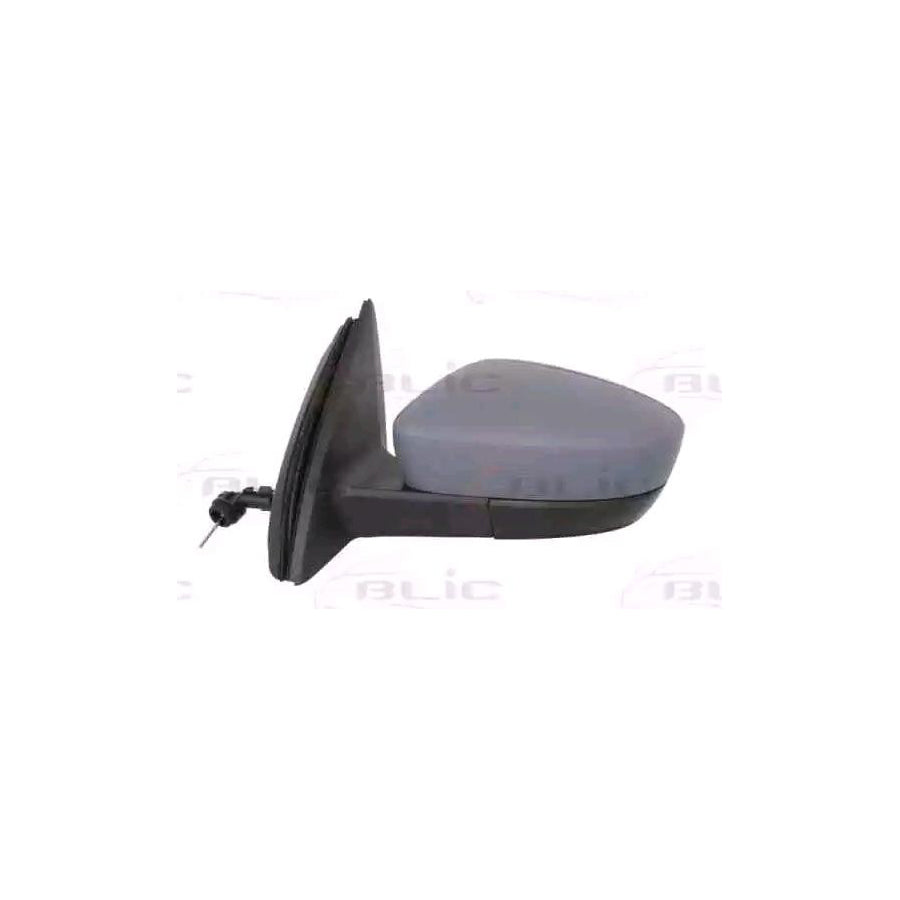 Blic 5402-10-2002321P Wing Mirror