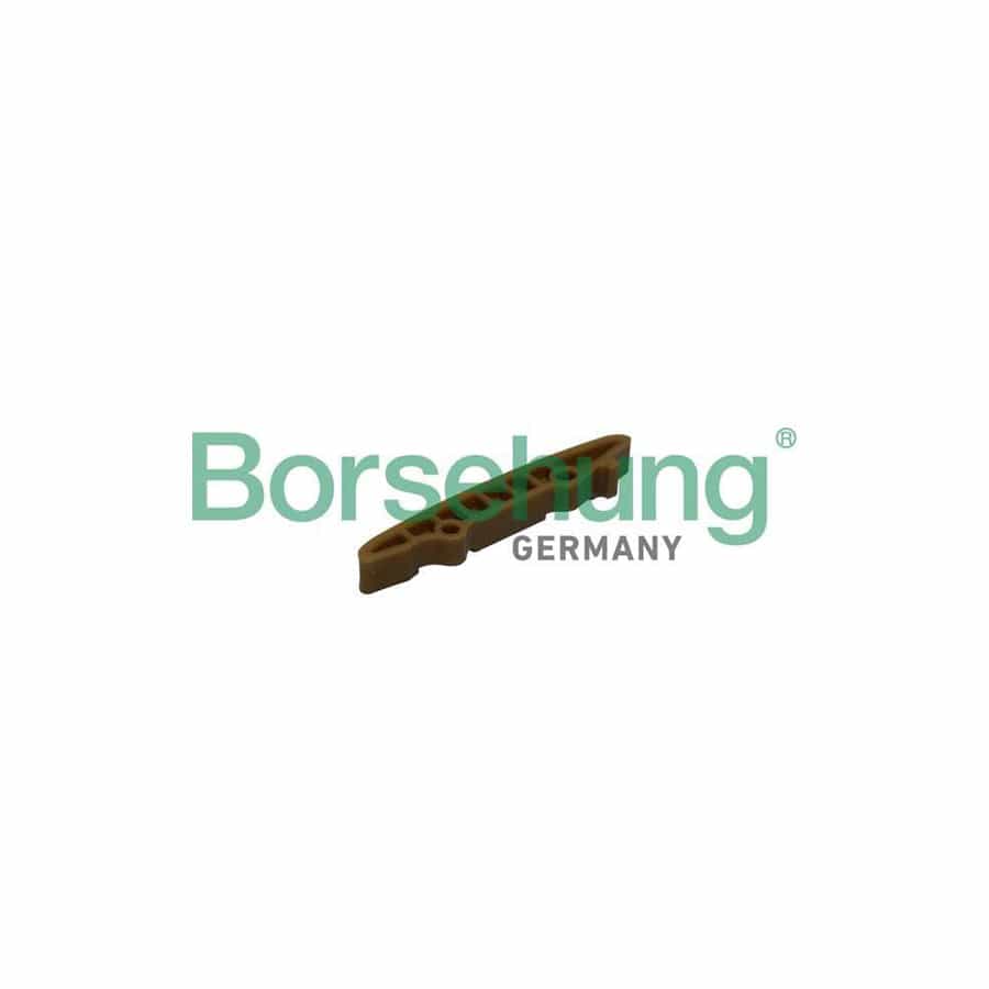 Borsehung B1G019 Guides, Timing Chain