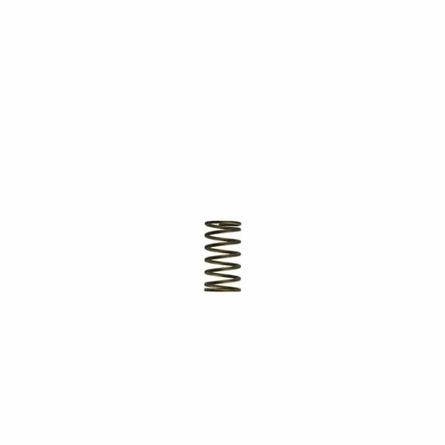 Turbosmart TS-0550-3089 GenV WG60 3psi Inner Spring | ML Performance UK Car Parts