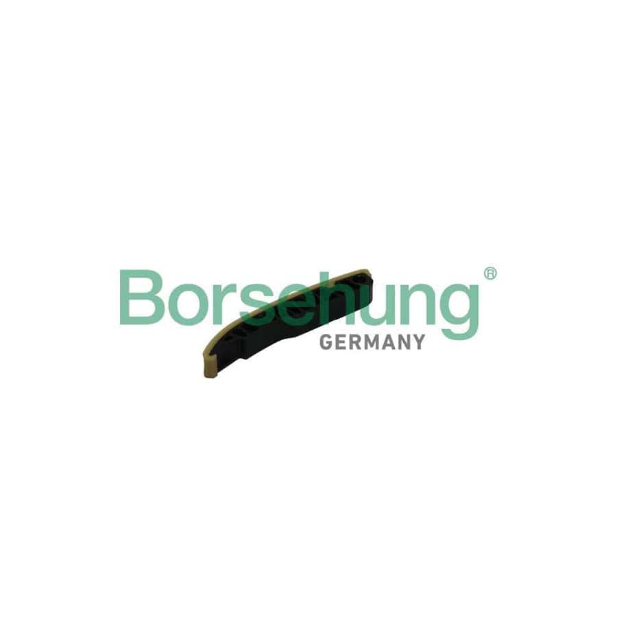 Borsehung B1G018 Guides, Timing Chain