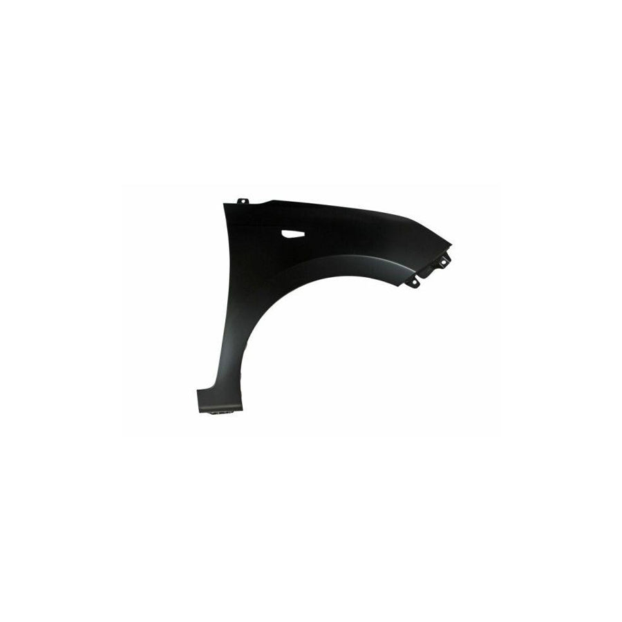 Blic 6504-04-3121312P Wing Fender For Hyundai I10 II Hatchback (Ia, Ba)