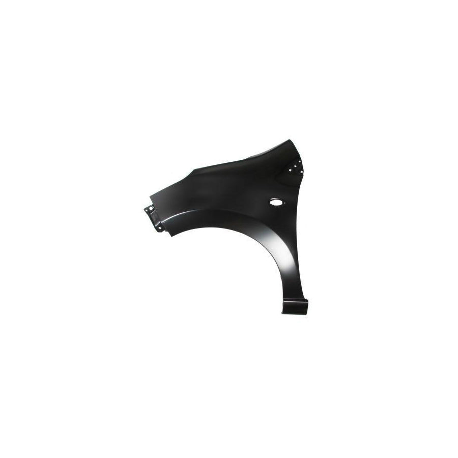 Blic 6504-04-6809311P Wing Fender