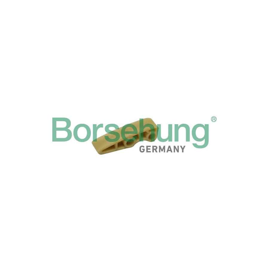 Borsehung B1G016 Guides, Timing Chain