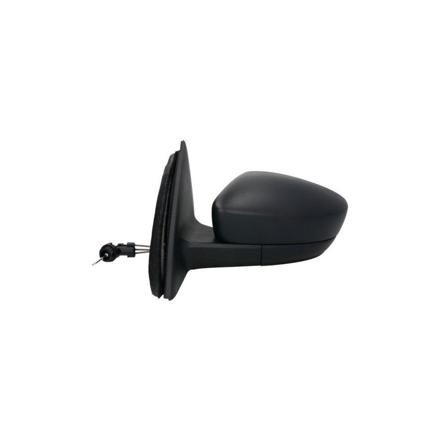 Blic 5402-10-2002319P Wing Mirror