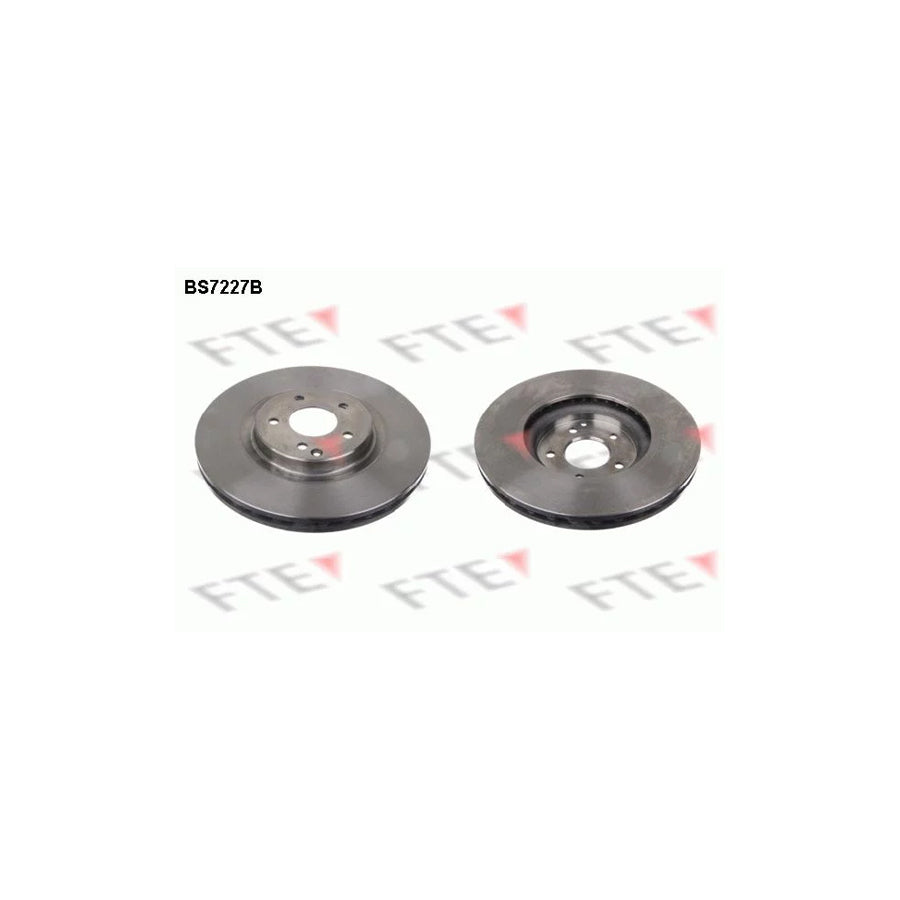 Fte BS7227B Brake Disc | ML Performance UK Car Parts