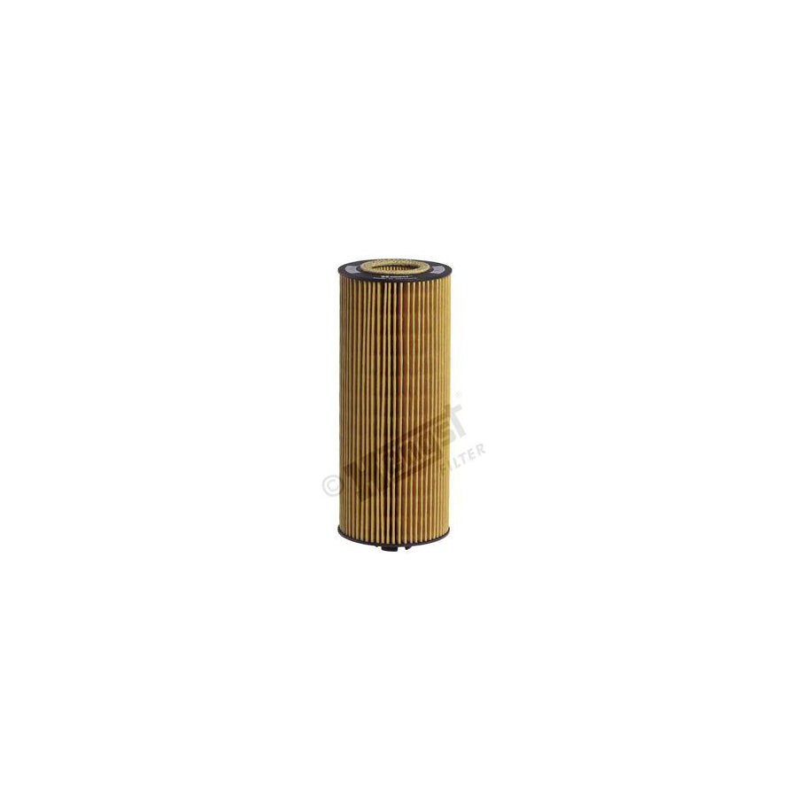 Hengst Filter E161H01 D28 Oil Filter