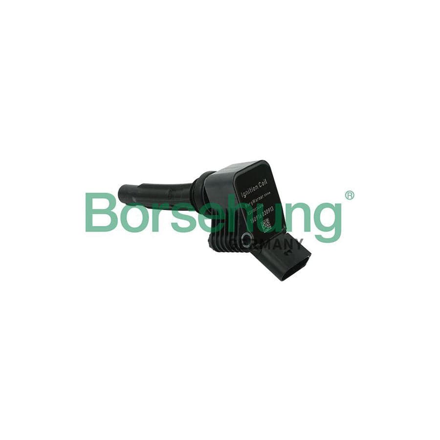 Borsehung B15118 Ignition Coil