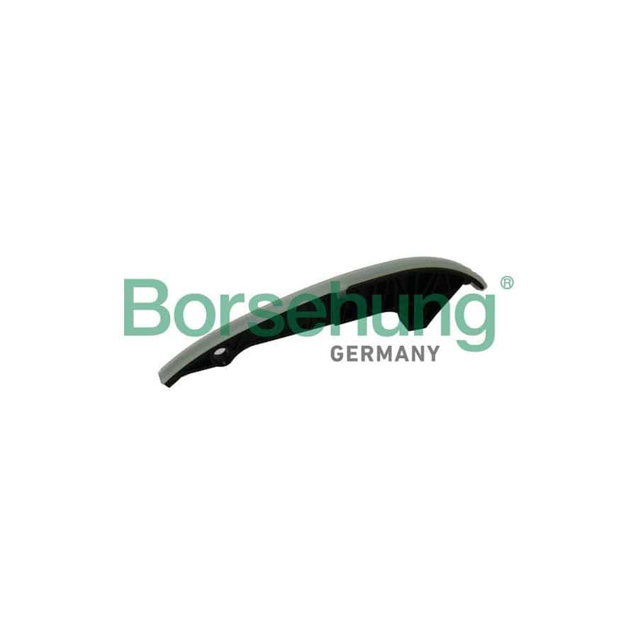 Borsehung B1G013 Guides, Timing Chain