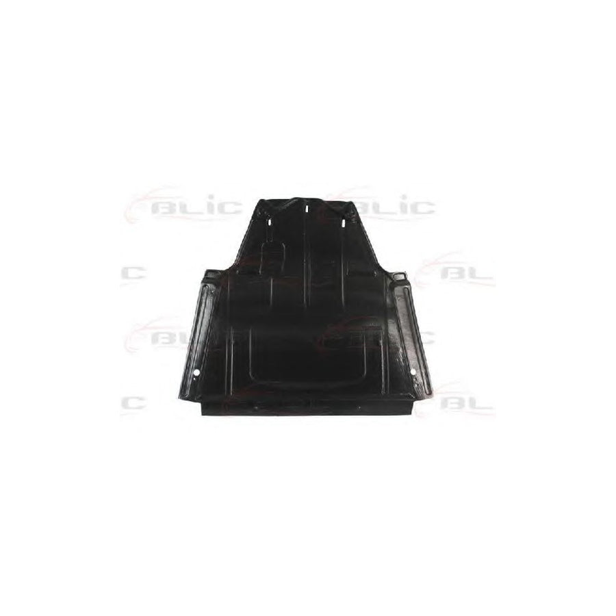 Blic 6601-02-6055860P Engine Cover