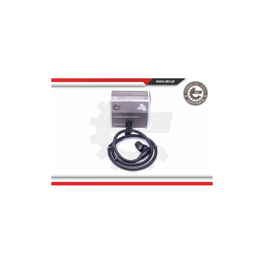 ESEN SKV 06SKV217 ABS Sensor | ML Performance UK Car Parts