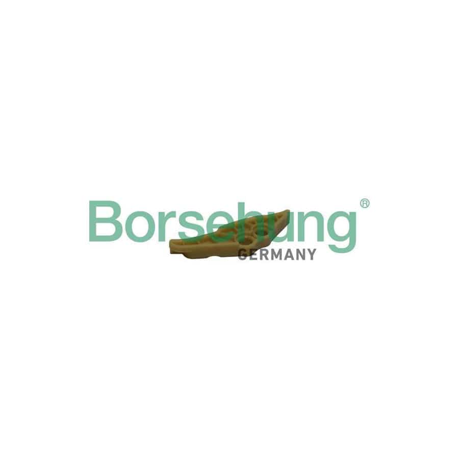 Borsehung B1G011 Guides, Timing Chain