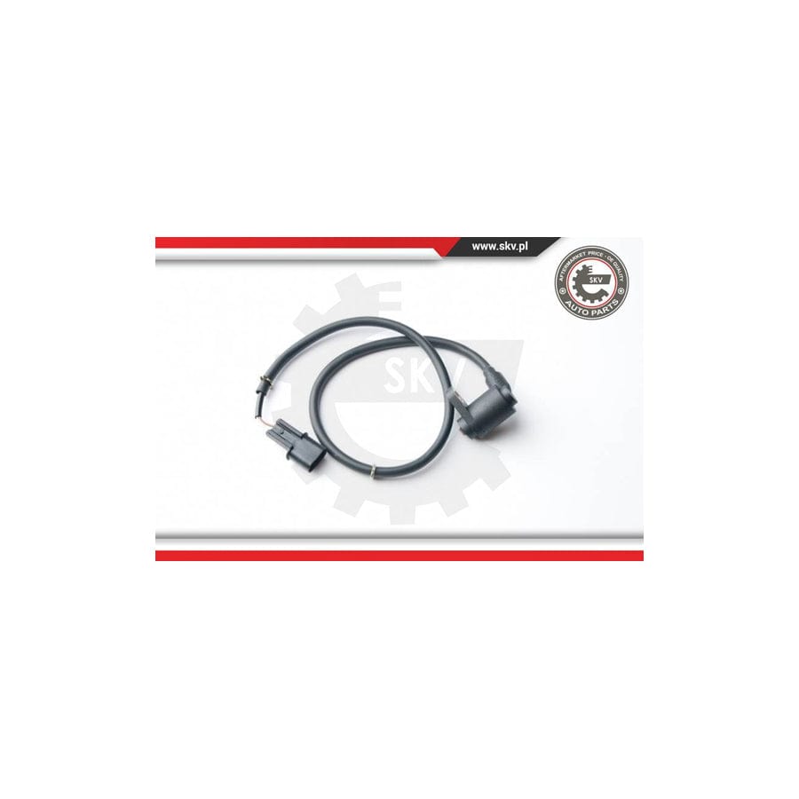 ESEN SKV 06SKV216 ABS Sensor | ML Performance UK Car Parts