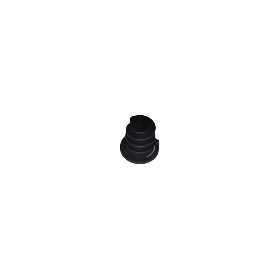 Bugiad BSP24571 Sealing Plug, Oil Sump