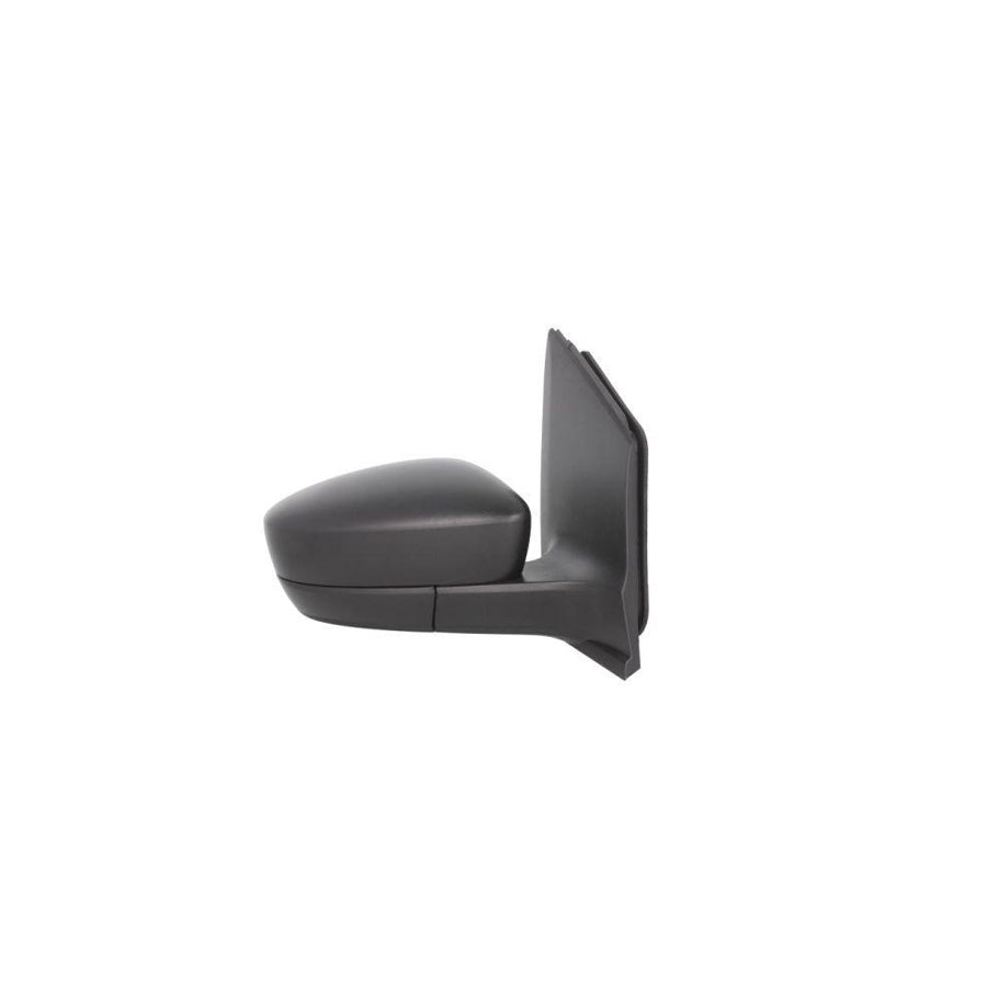 Blic 5402-10-2002312P Wing Mirror