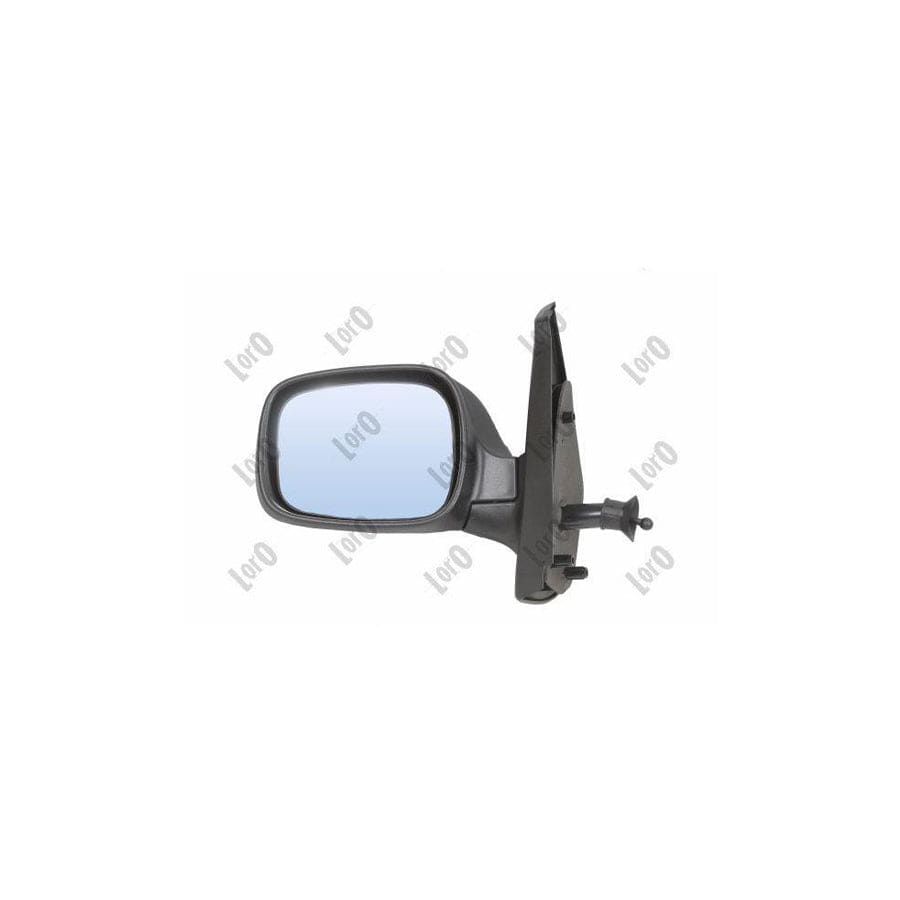 Abakus 3149M01 Wing Mirror For Renault Kangoo | ML Performance UK