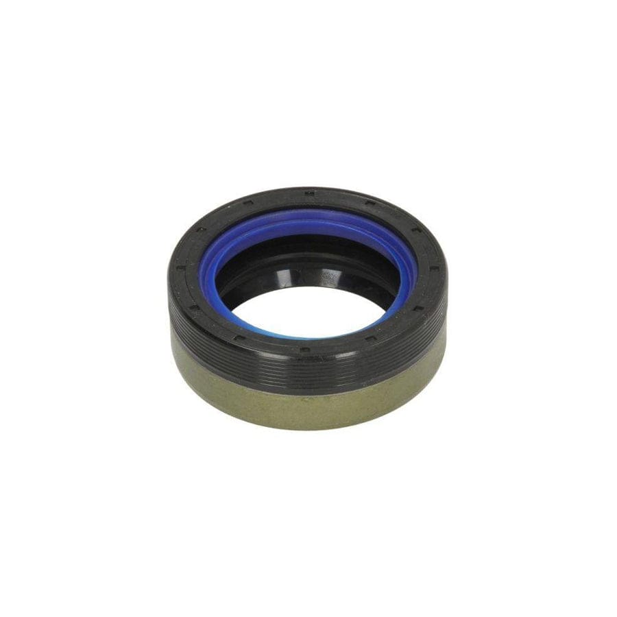 Bta B05-Ag-334 Oil Seal, Manual Transmission