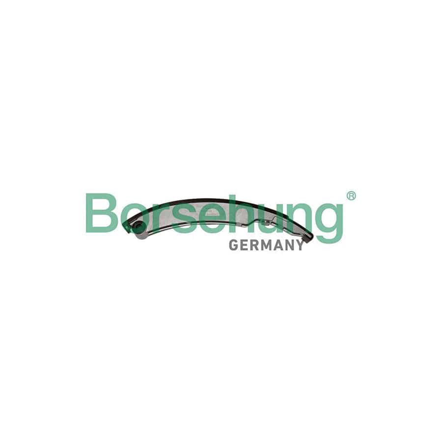 Borsehung B1G039 Guides, Timing Chain