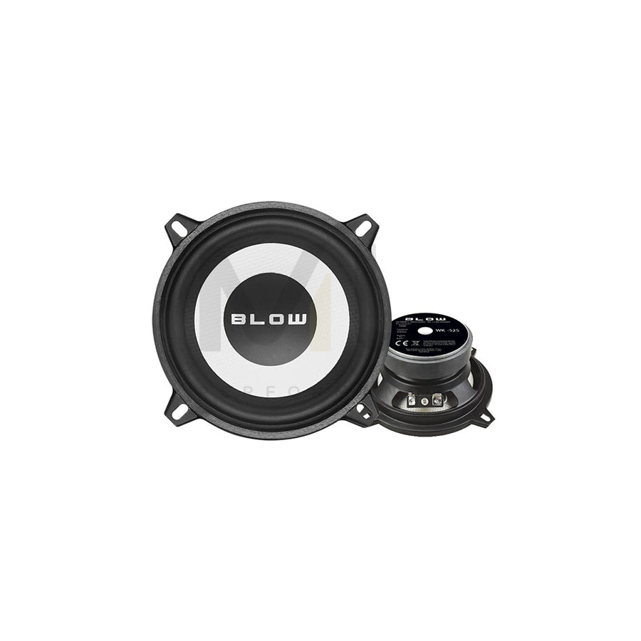 BLOW 0895# Subwoofer | ML Performance Car Parts