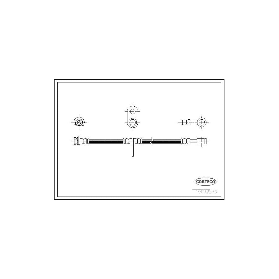 Corteco 19032230 Brake Hose | ML Performance UK