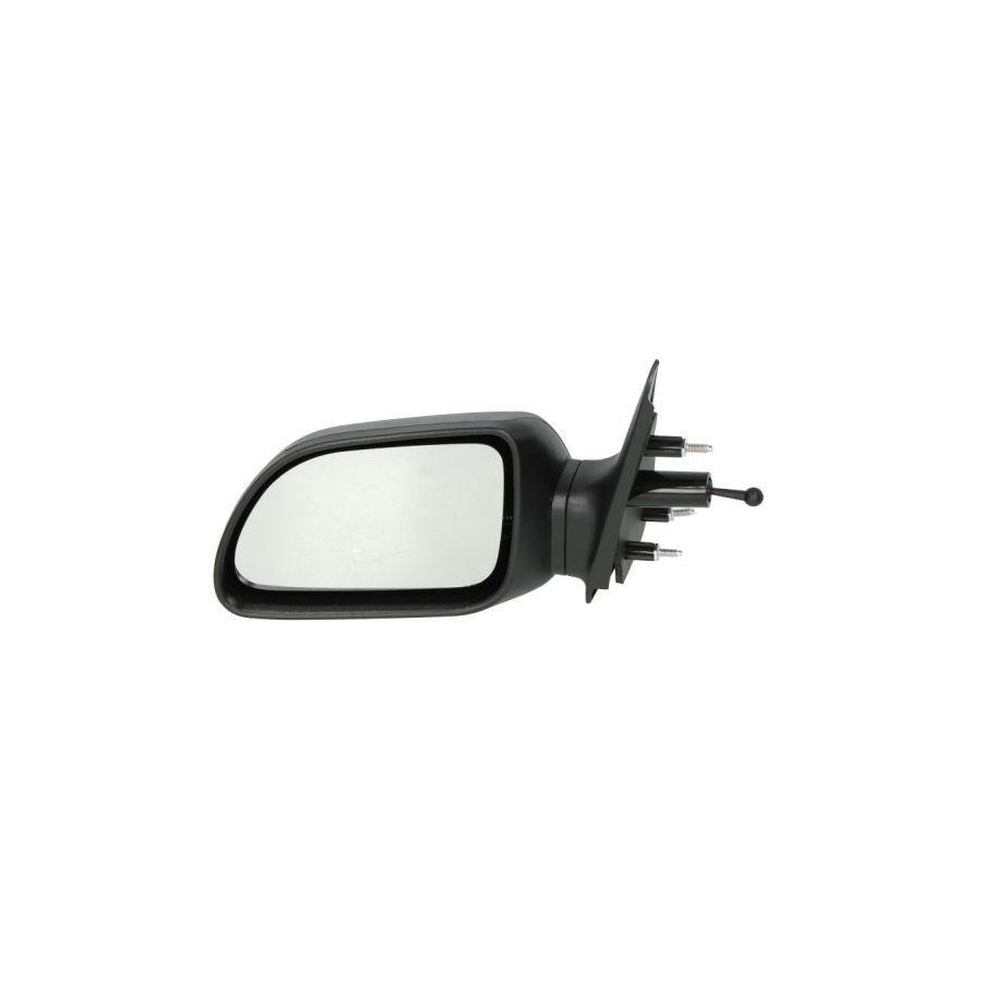 Blic 5402-04-1191217P Wing Mirror For Renault 19