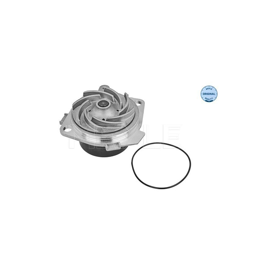 Meyle 15-13 060 0005 Water Pump