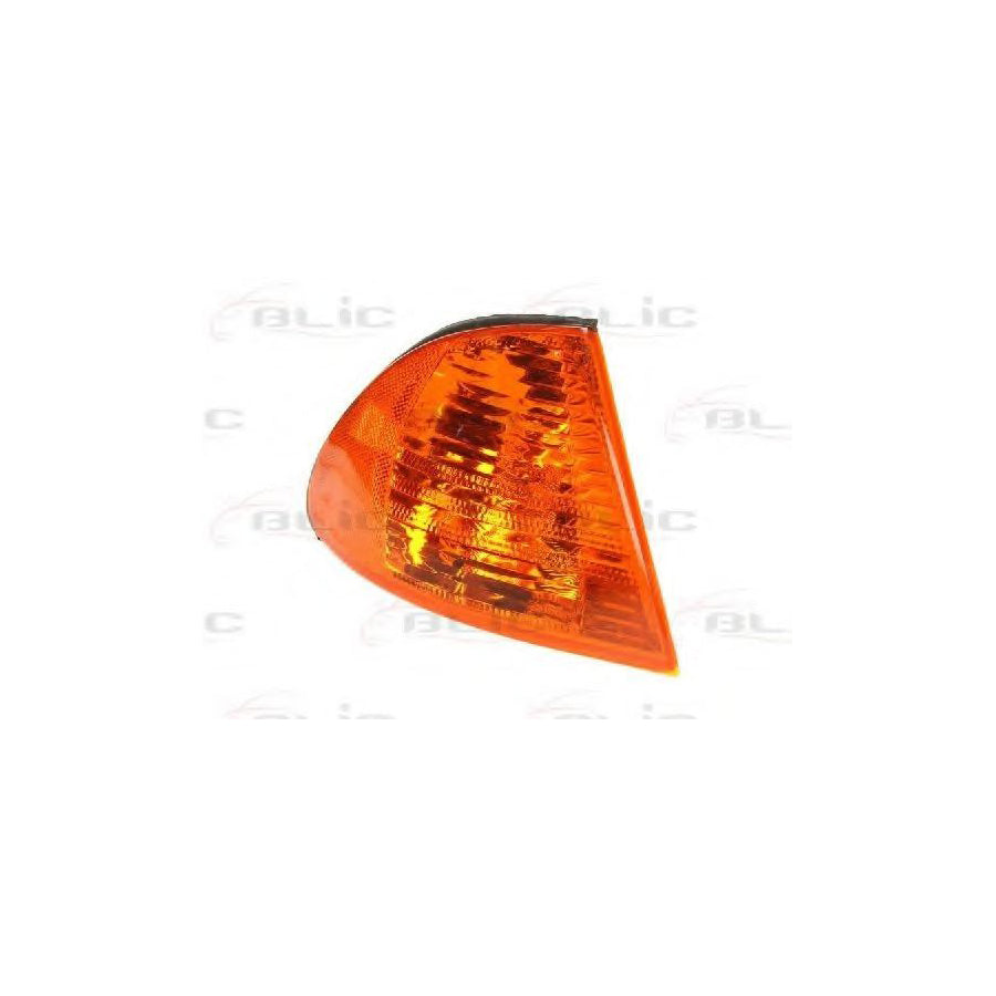 Blic 5403-05-013102P Side Indicator For BMW 3 Series