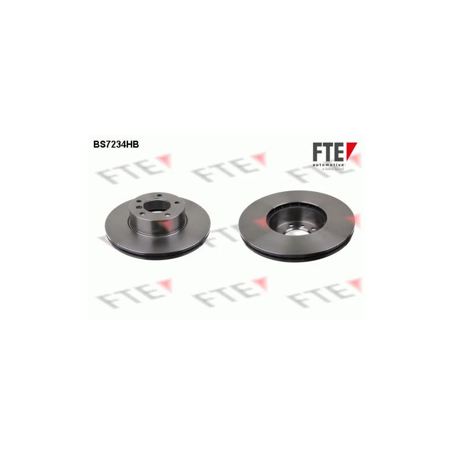 Fte BS7234HB Brake Disc | ML Performance UK Car Parts