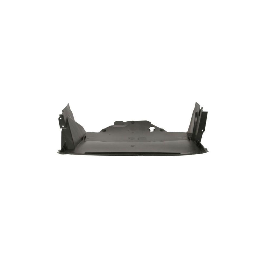 Blic 6601-02-6089860Q Skid Plate