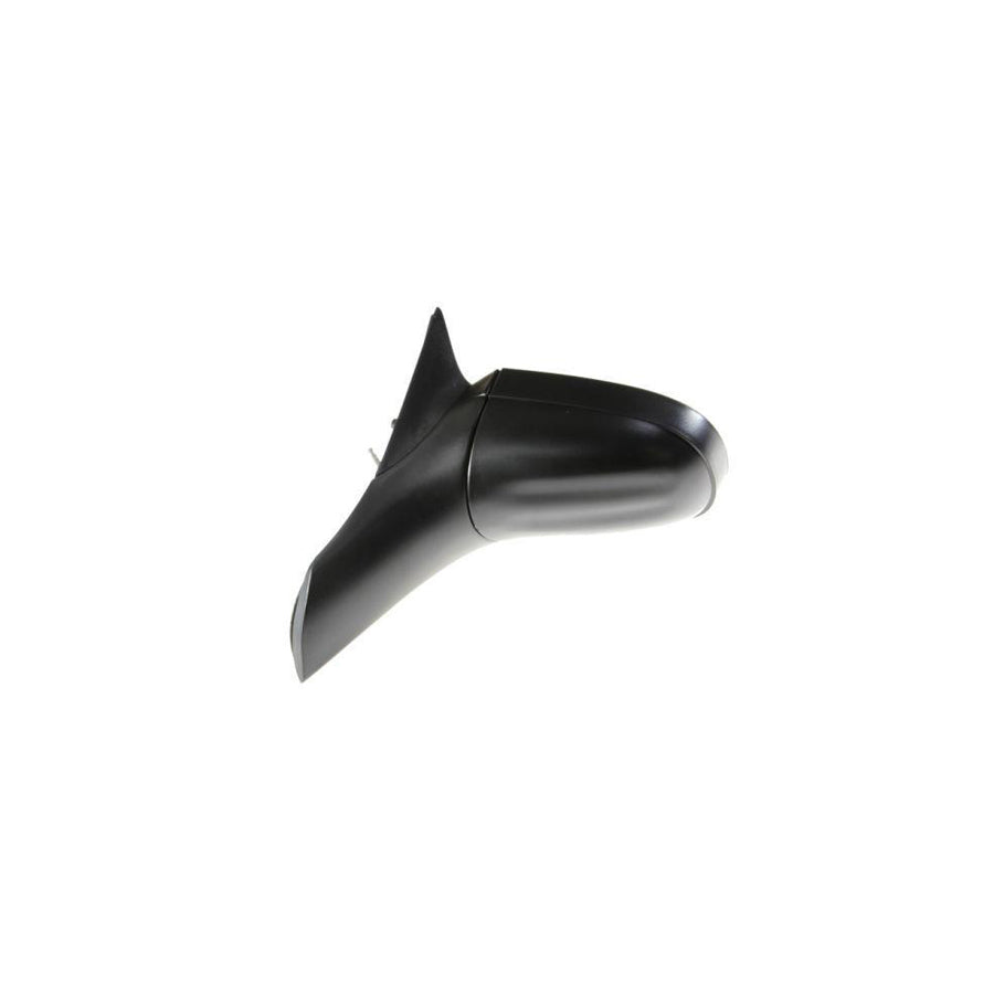 Blic 5402-04-1191212P Wing Mirror