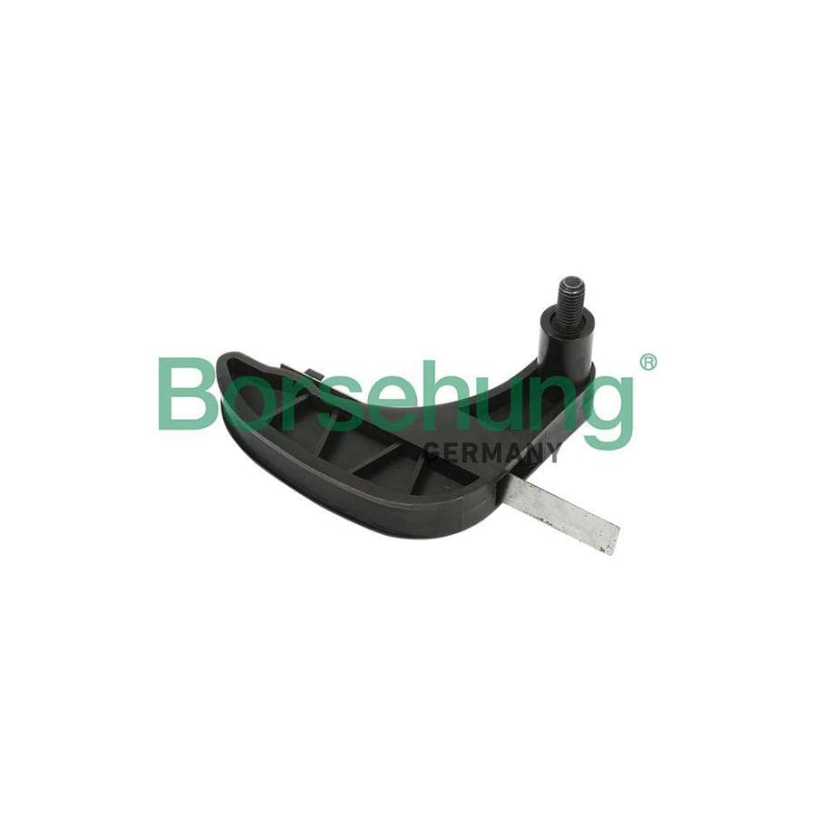 Borsehung B1G029 Timing Chain Tensioner