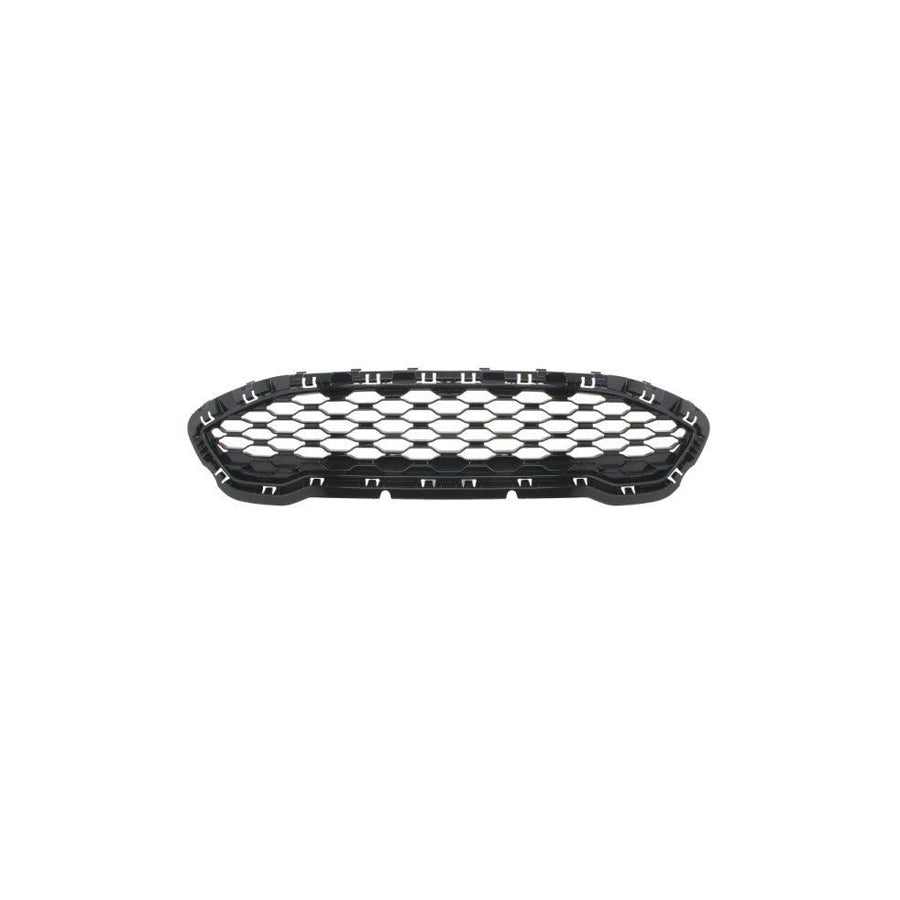 Blic 6502-07-2566999P Radiator Grille For Ford Fiesta Mk7 Hatchback