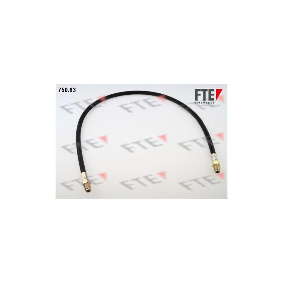 Fte 9741074 Brake Hose | ML Performance UK Car Parts