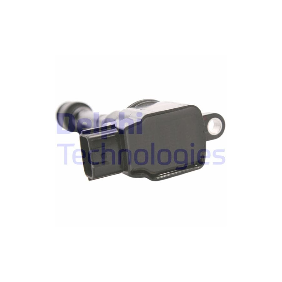 Delphi Gn10219-12B1 Ignition Coil