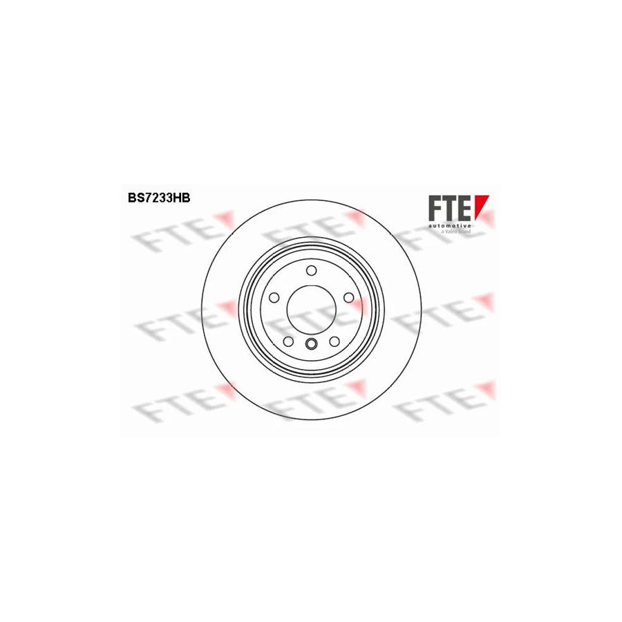 Fte BS7233HB Brake Disc | ML Performance UK Car Parts