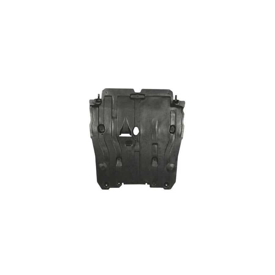 Blic 6601-02-6071860P Engine Cover