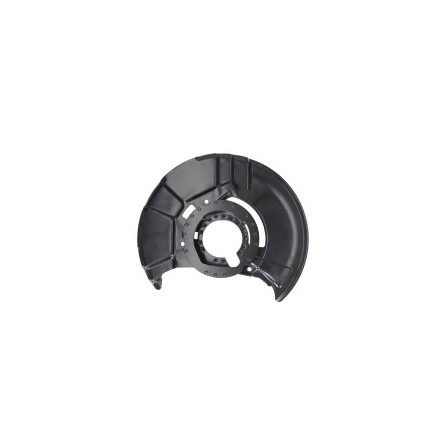 Blic 6508-03-0060377P Splash Panel, Brake Disc