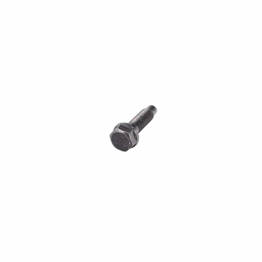 Genuine BMW 07147132411 E46 Hex Bolt M10 (Inc. 323i) | ML Performance UK Car Parts