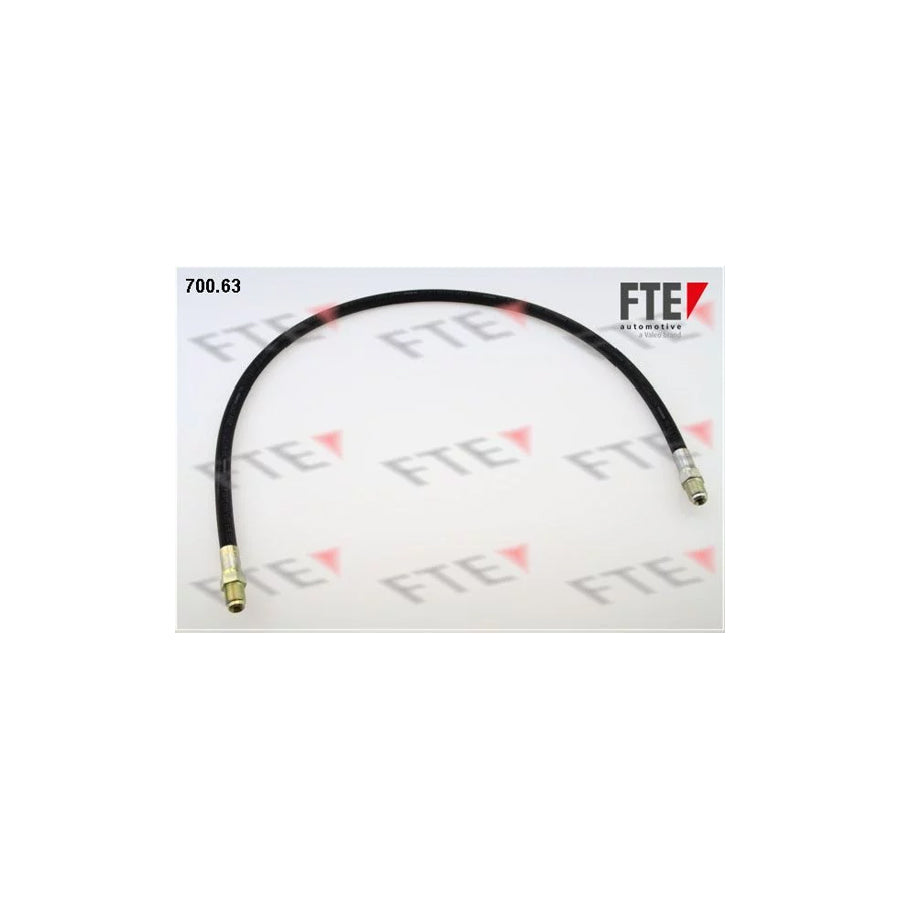 Fte 9741071 Brake Hose | ML Performance UK Car Parts