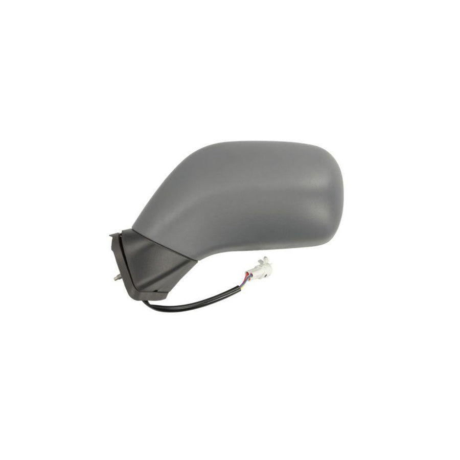 Blic 5402-04-1121230P Wing Mirror