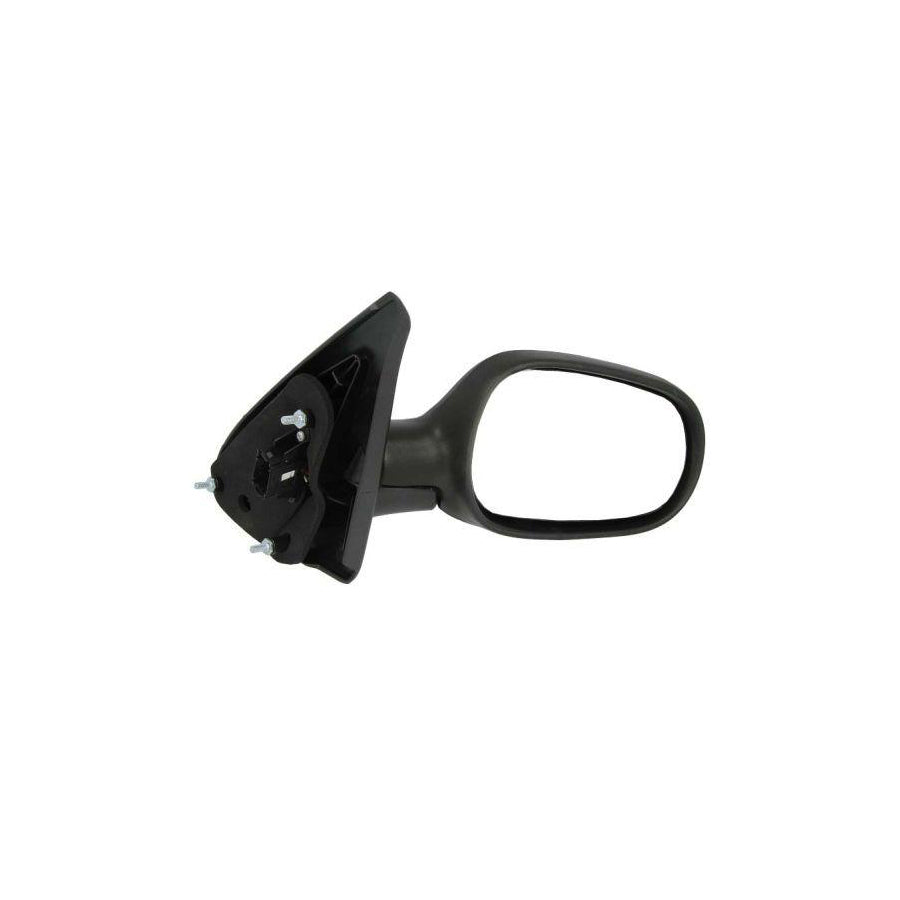 Blic 5402-04-1121223P Wing Mirror For Renault Megane